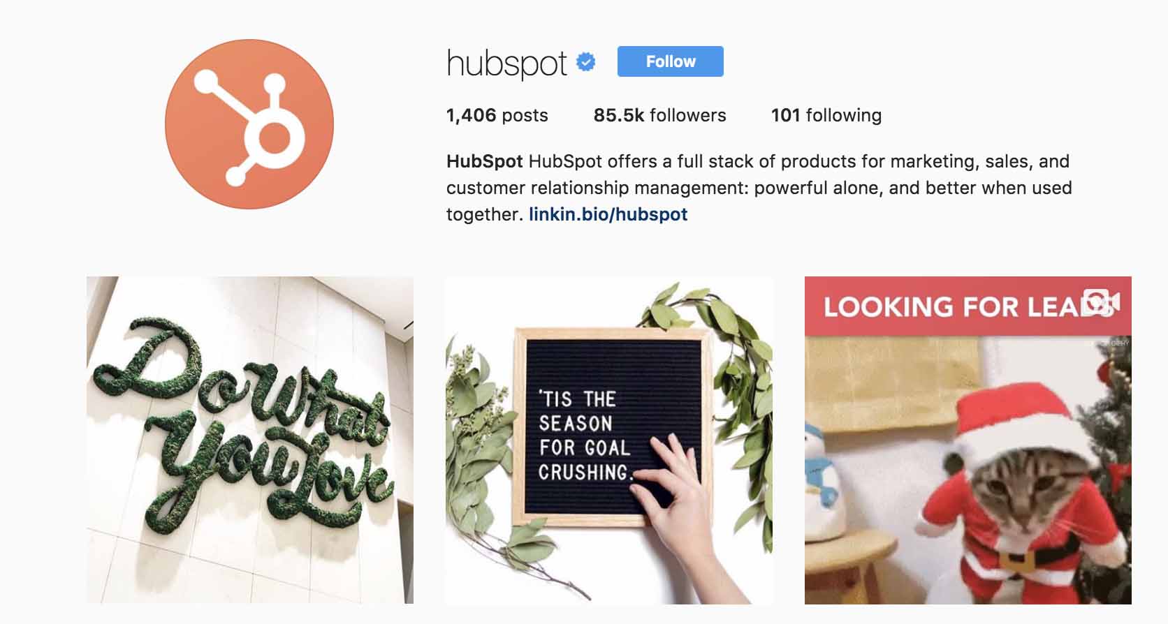 26 Creative Instagram Bio Ideas (That Will Get You ...