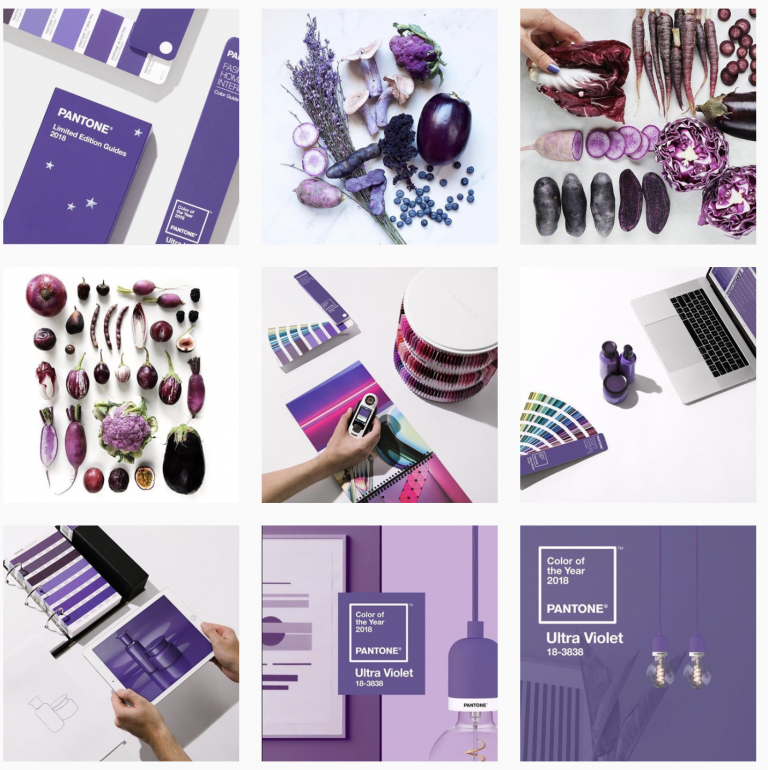 Pantone ultra violet monochromic color palette