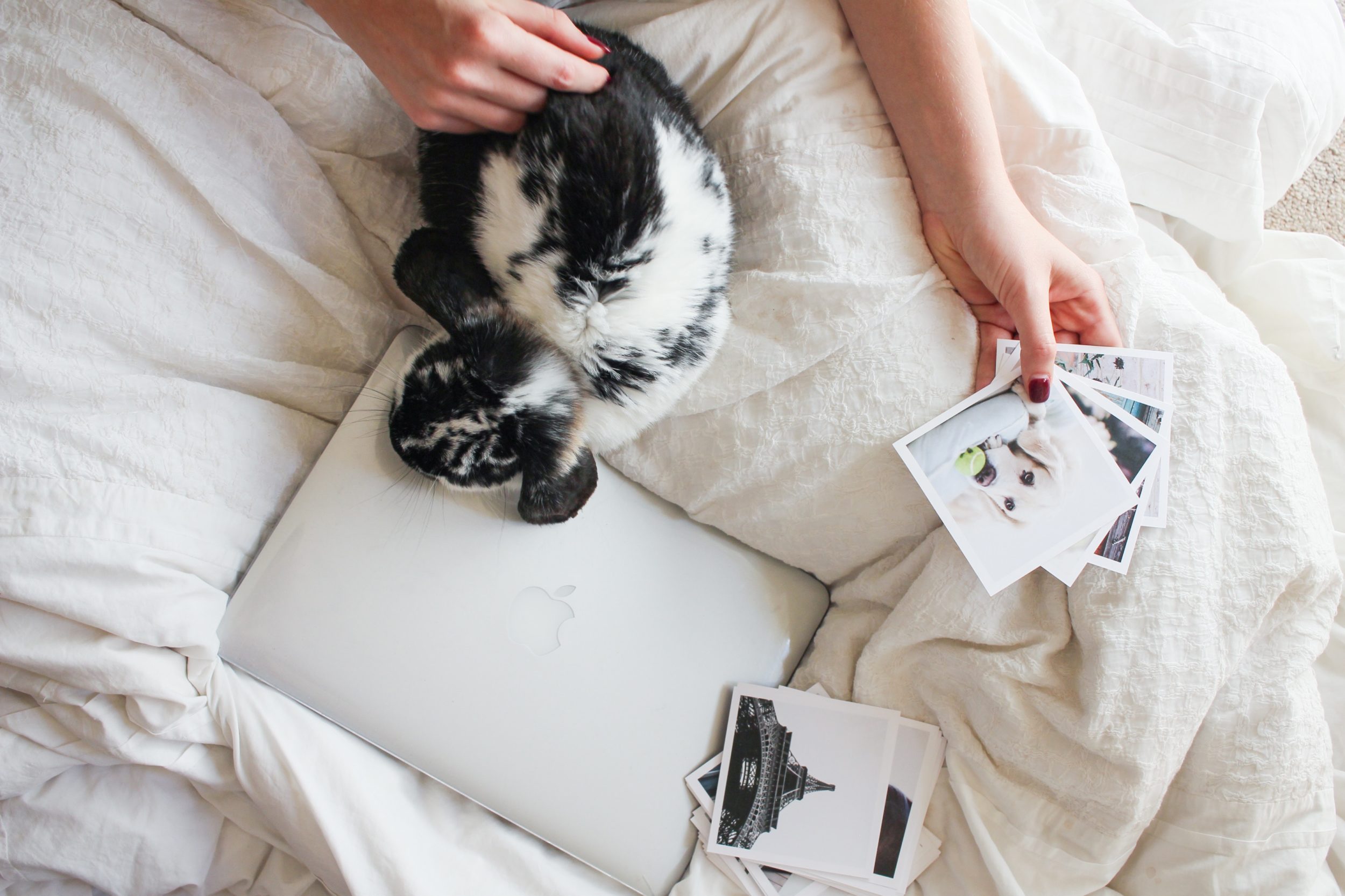 9 Brilliant Instagram Feed Ideas That Can Make Your ...